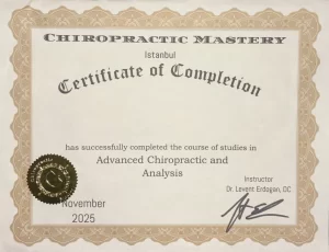 Chiropractic Mastery Istanbul – Advanced Chiropractic and Analysis kurs tamamlama sertifikası, Kasım 2025